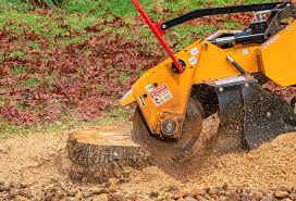 Best Lawn Maintenance Plans  in Kahaluu Keauhou, HI
