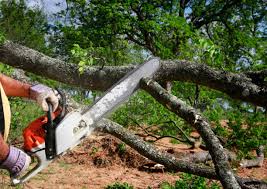 Best Lawn Maintenance Plans  in Kahaluu Keauhou, HI